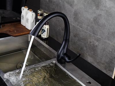 Beautiful Artistic Design Kitchen Faucet